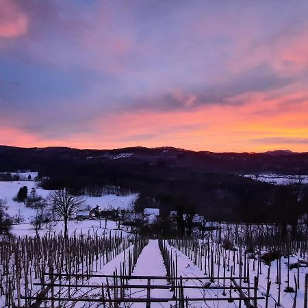 Vineyard Cottage Kulovec Ursna Sela Exterior photo