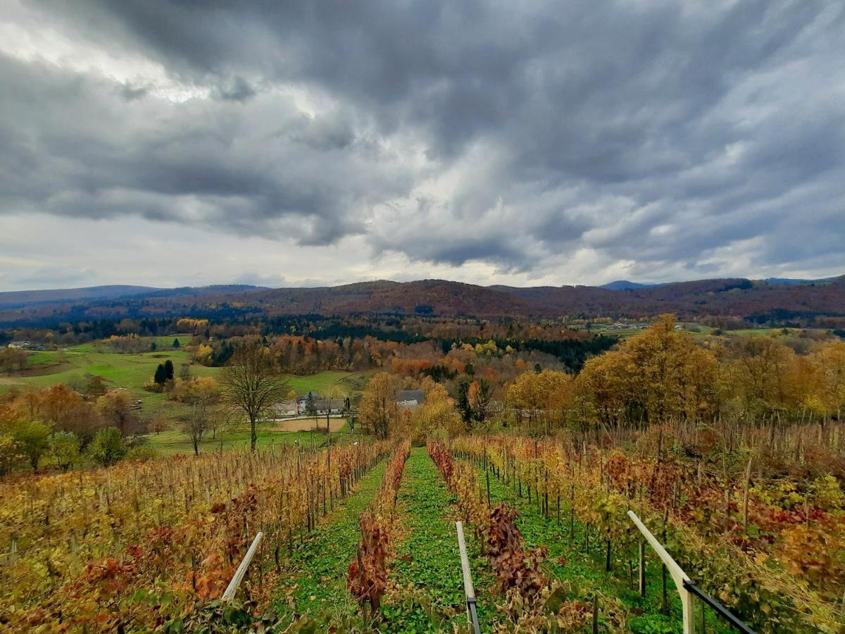 Vineyard Cottage Kulovec Ursna Sela Exterior photo