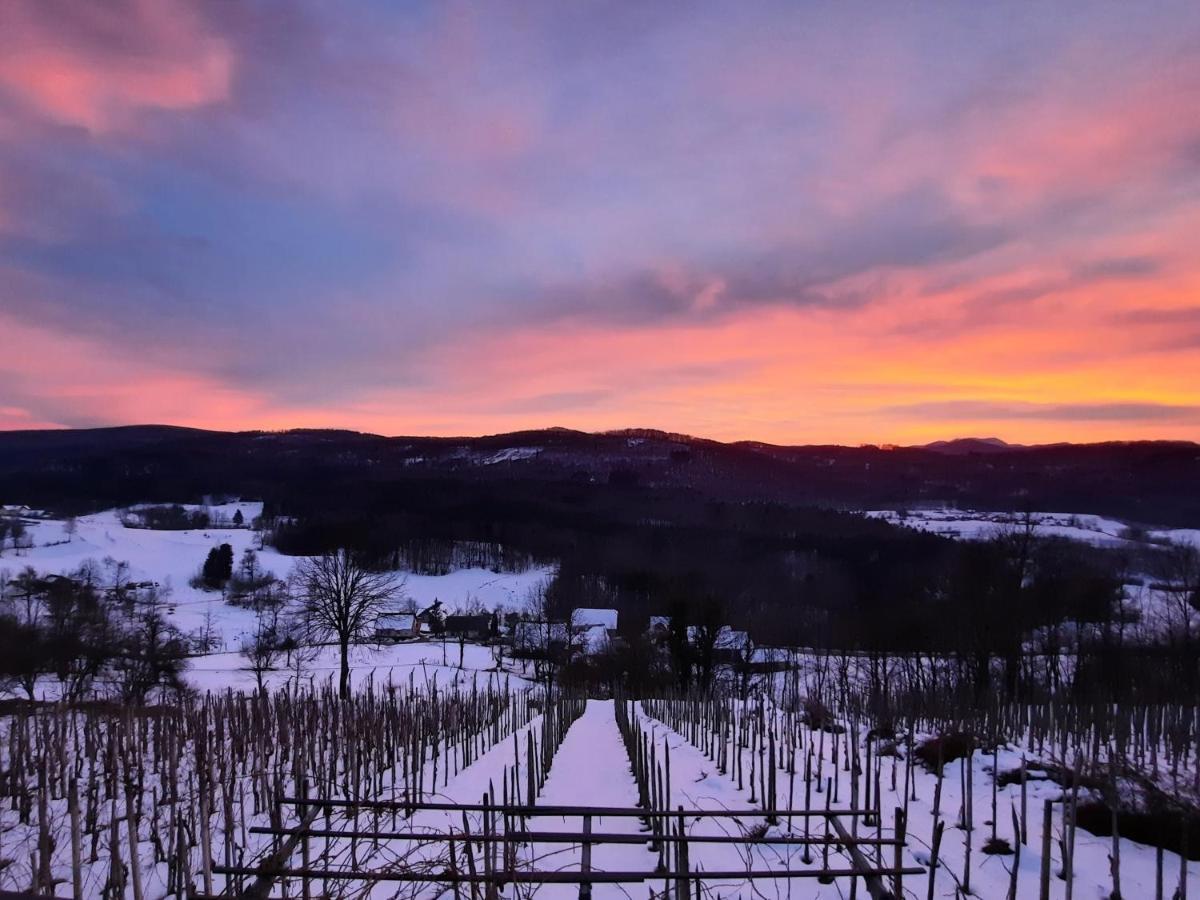 Vineyard Cottage Kulovec Ursna Sela Exterior photo